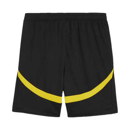 Domácí Souprava Borussia Dortmund 24/25